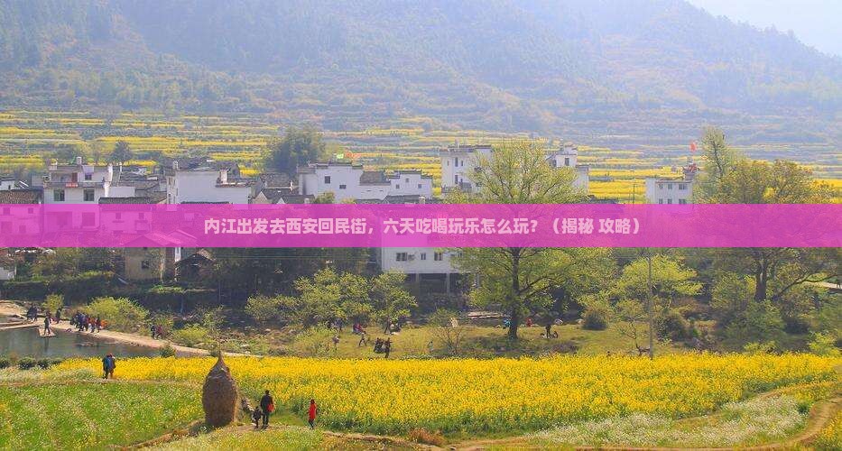 内江到西安回民街六日游