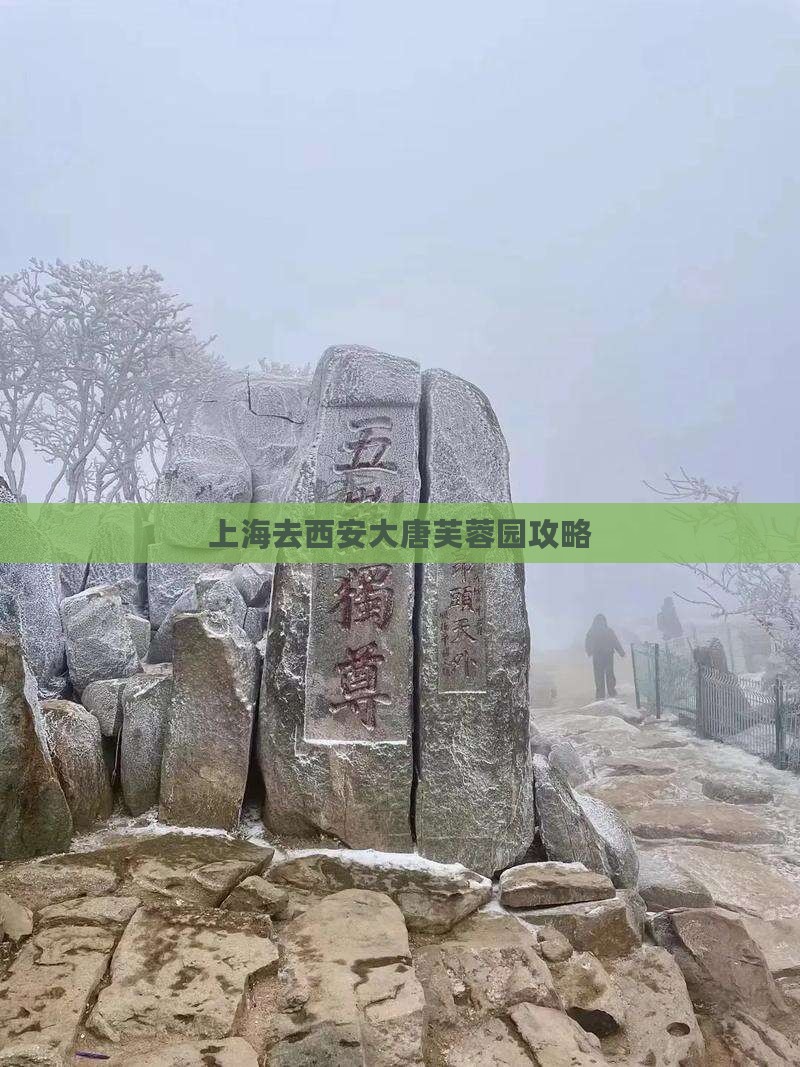 上海去西安大唐芙蓉园攻略