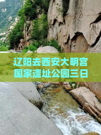 辽阳去西安大明宫国家遗址公园三日游