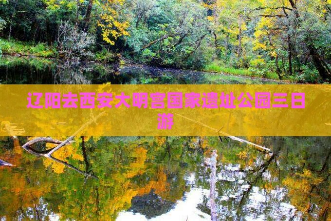 辽阳去西安大明宫国家遗址公园三日游