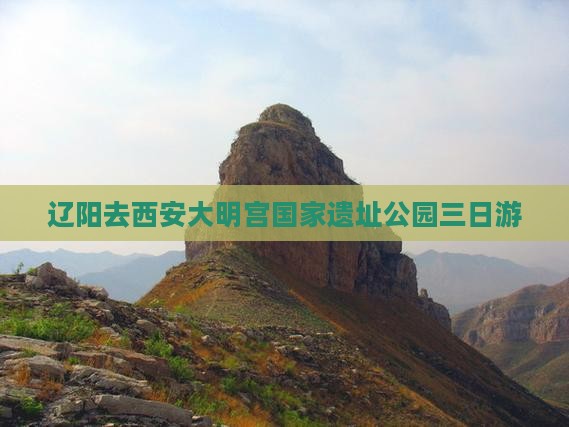 辽阳去西安大明宫国家遗址公园三日游