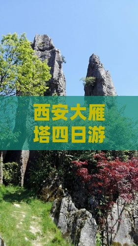 铜川到西安大雁塔四日游
