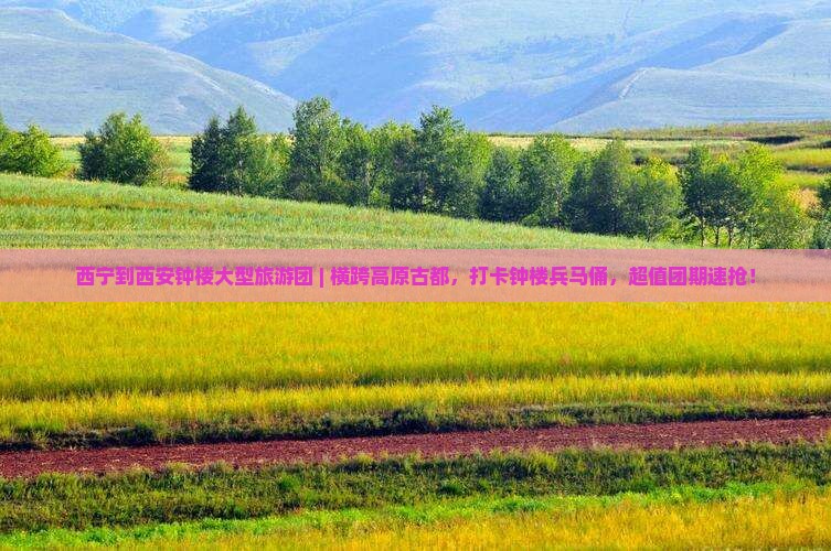 西宁到西安钟楼大型旅游团