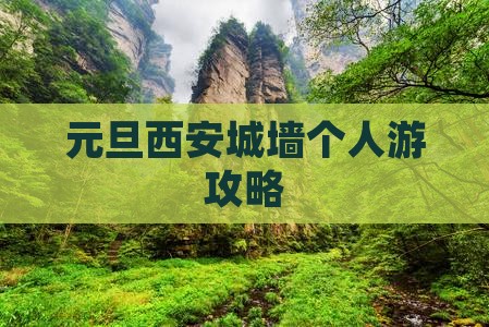 元旦到西安城墙个人游