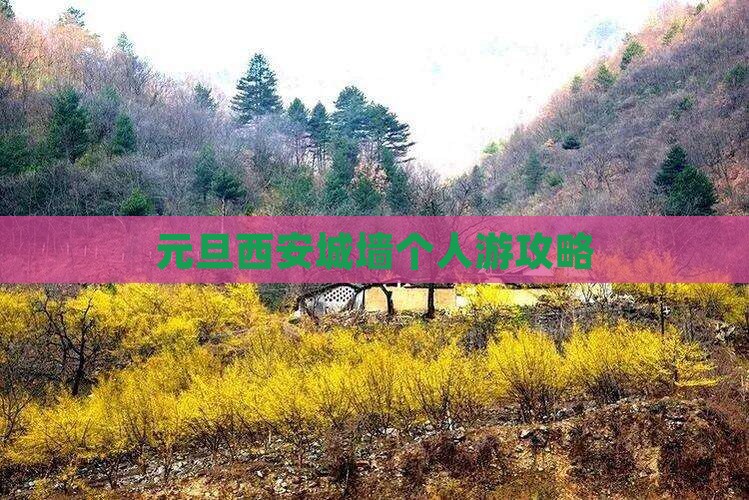 元旦到西安城墙个人游