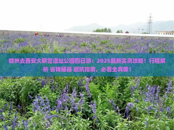 赣州去西安大明宫国家遗址公园四日游