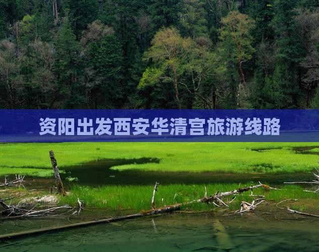 资阳去西安华清宫旅行社