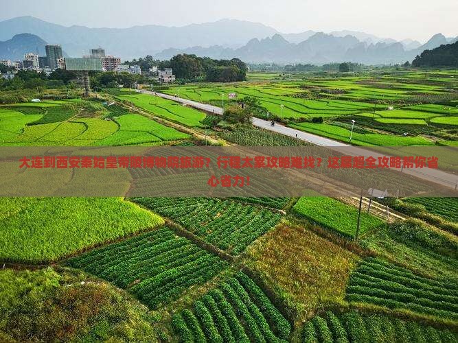 大连到西安秦始皇帝陵博物院旅游