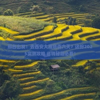 邢台到西安大雁塔六日游
