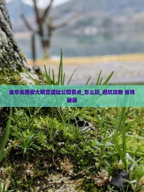 金华去西安大明宫国家遗址公园景点
