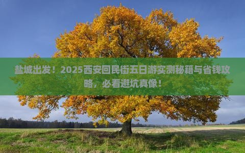 盐城到西安回民街五日游