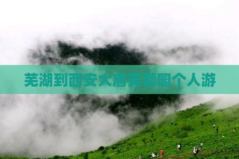 芜湖到西安大唐芙蓉园个人游