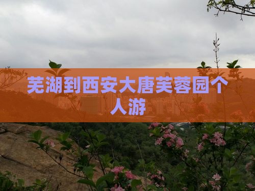 芜湖到西安大唐芙蓉园个人游