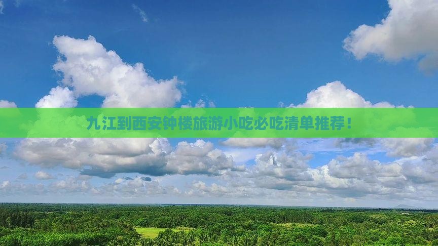 九江到西安钟楼旅游小吃