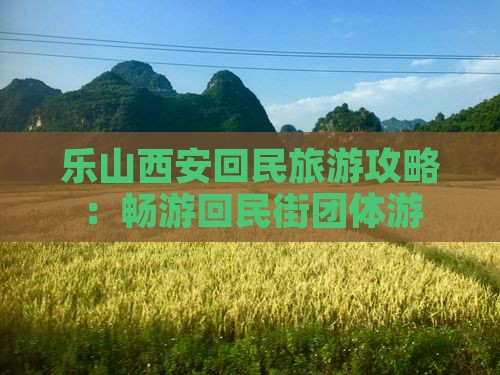 乐山去西安回民街团体旅游