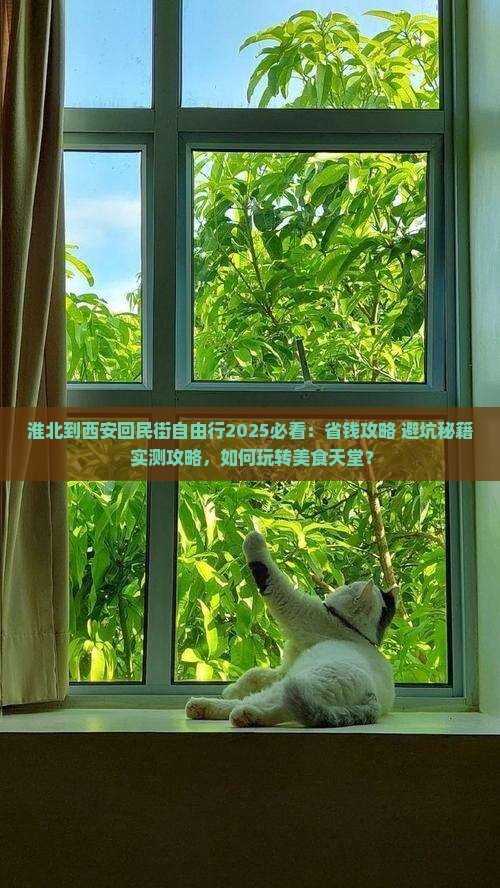 淮北到西安回民街自由行