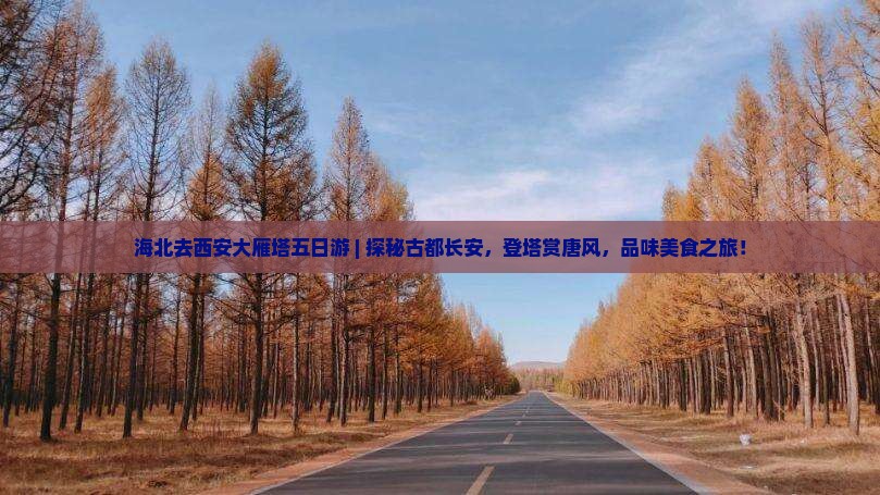 海北去西安大雁塔五日游