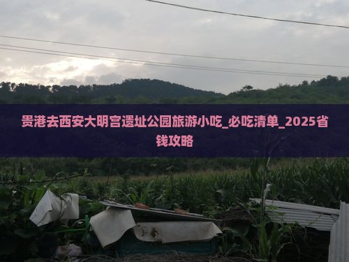 贵港去西安大明宫国家遗址公园旅游小吃