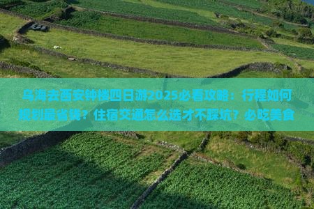 乌海市去西安钟楼四日游