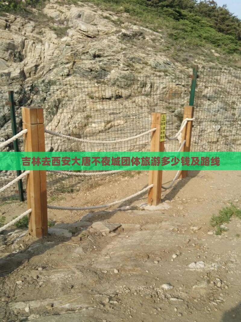 吉林去西安大唐不夜城团体旅游