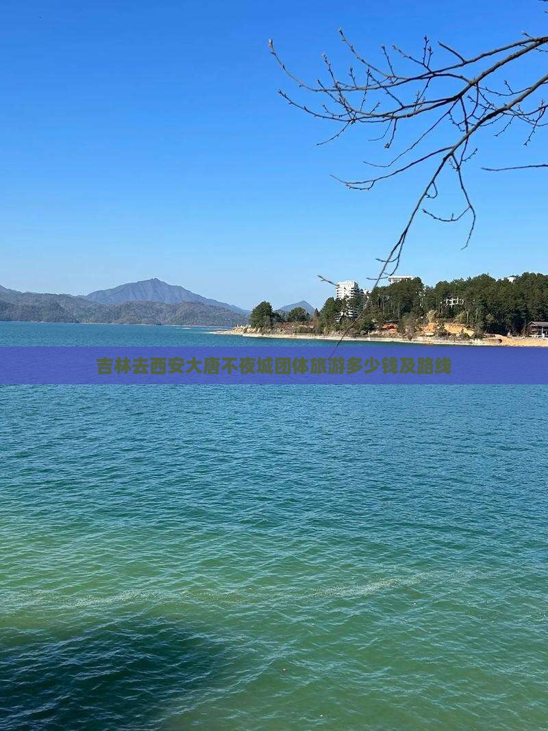 吉林去西安大唐不夜城团体旅游