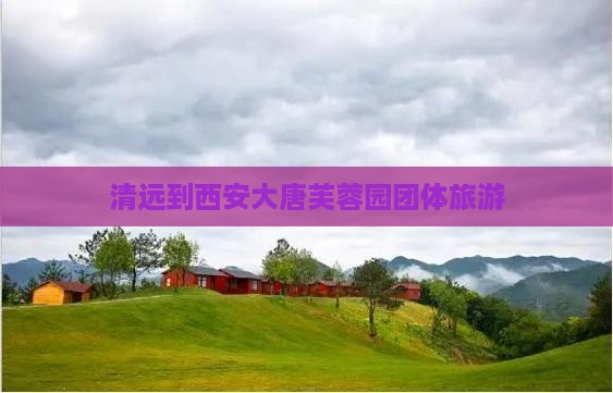 清远到西安大唐芙蓉园团体旅游