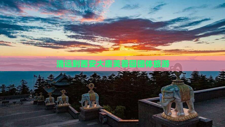 清远到西安大唐芙蓉园团体旅游