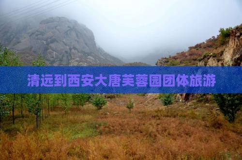 清远到西安大唐芙蓉园团体旅游