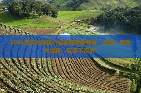 牡丹江去西安大雁塔门票