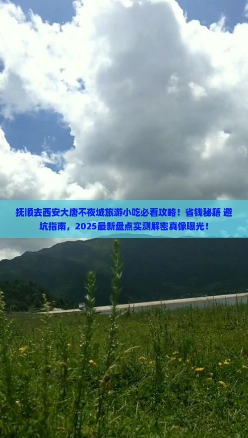 抚顺去西安大唐不夜城旅游小吃