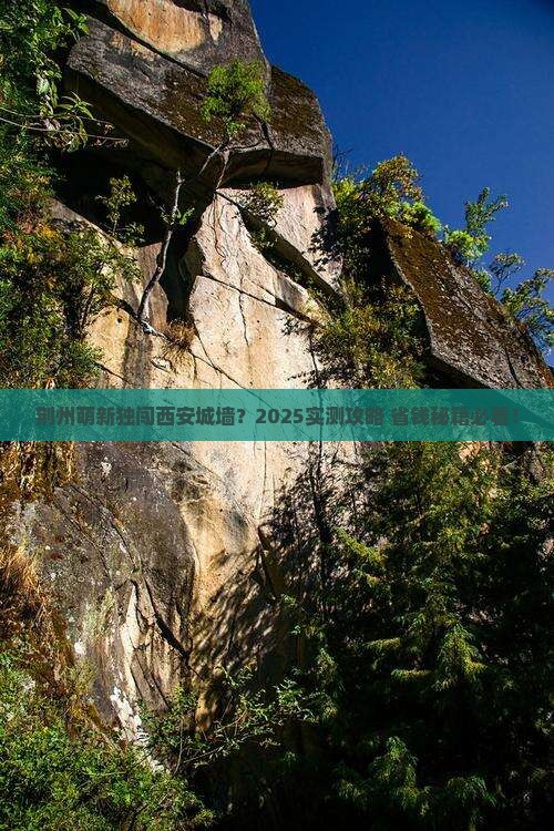 荆州去西安城墙个人游