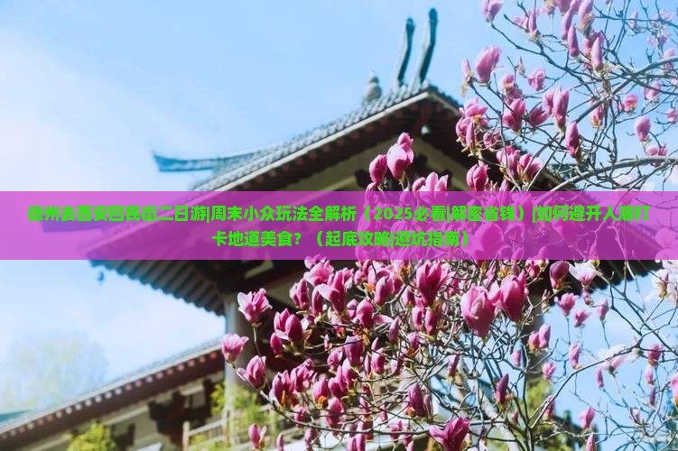 德州去西安回民街二日游 德州去西安回民街二日游