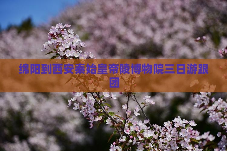 绵阳到西安秦始皇帝陵博物院三日游