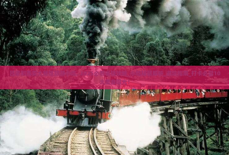 吕梁到西安大雁塔旅游小吃