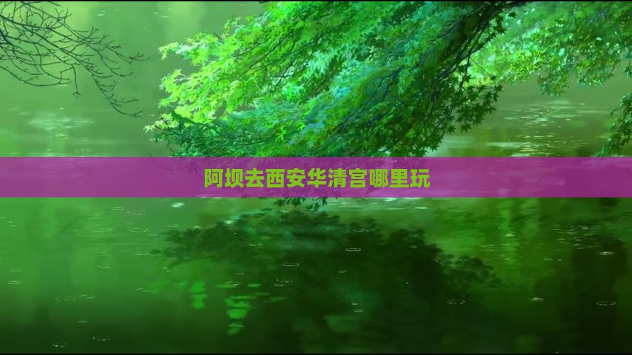阿坝去西安华清宫哪里玩