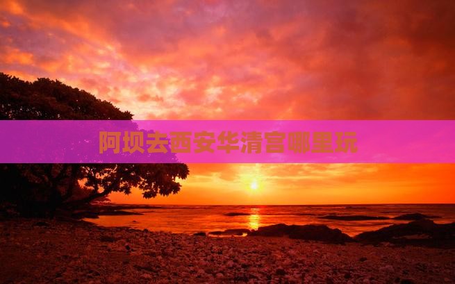 阿坝去西安华清宫哪里玩