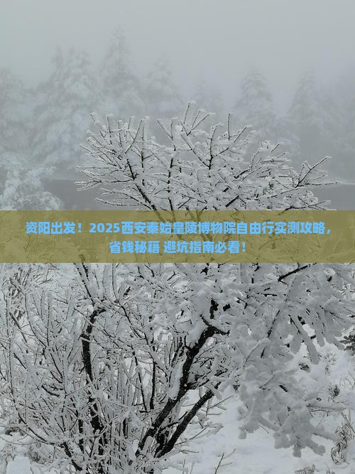 资阳到西安秦始皇帝陵博物院自由行