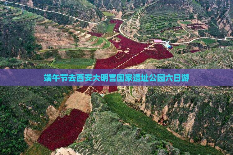 端午节去西安大明宫国家遗址公园六日游