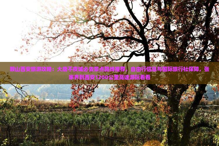 鞍山去西安大唐不夜城必去地