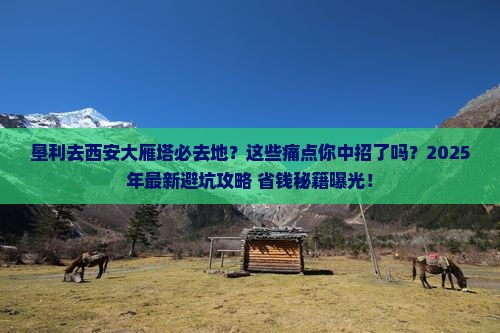 垦利去西安大雁塔必去地