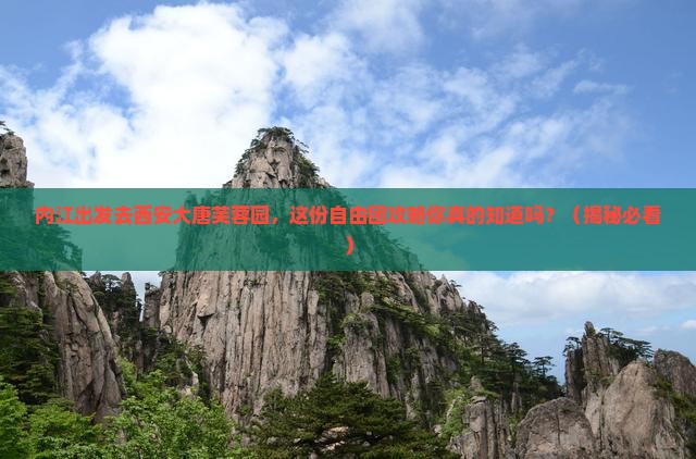 内江去西安大唐芙蓉园自由团