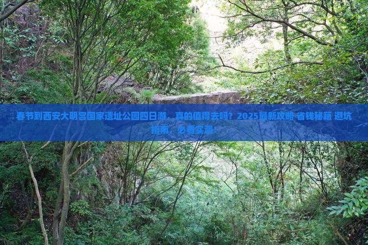 春节到西安大明宫国家遗址公园四日游
