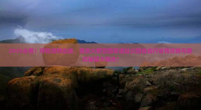 呼和浩特去西安大明宫国家遗址公园自由团