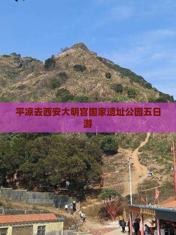 平凉去西安大明宫国家遗址公园五日游