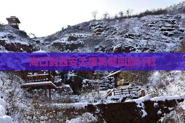 海口到西安大唐芙蓉园旅行社