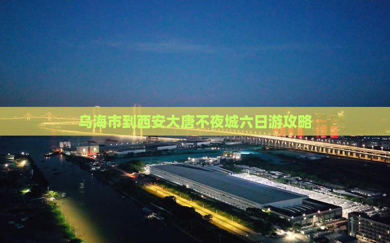 乌海市到西安大唐不夜城六日游