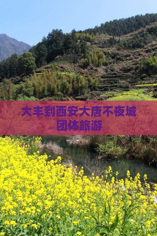 大丰到西安大唐不夜城团体旅游