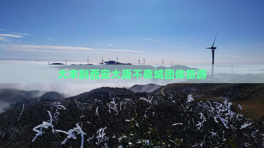 大丰到西安大唐不夜城团体旅游
