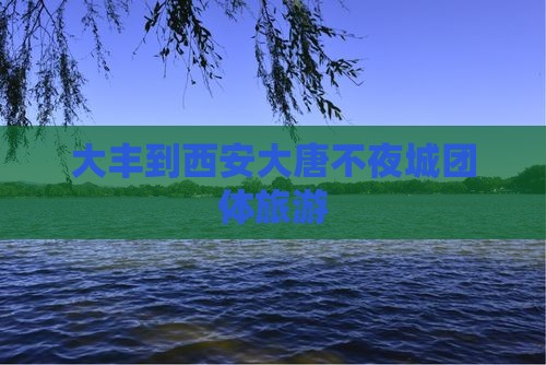 大丰到西安大唐不夜城团体旅游