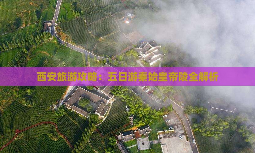 东莞到西安秦始皇帝陵博物院五日游